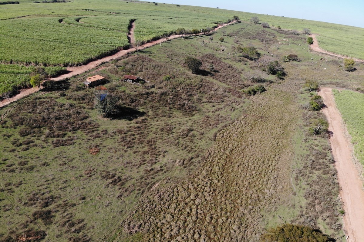 Terreno, 5 hectares - Foto 4