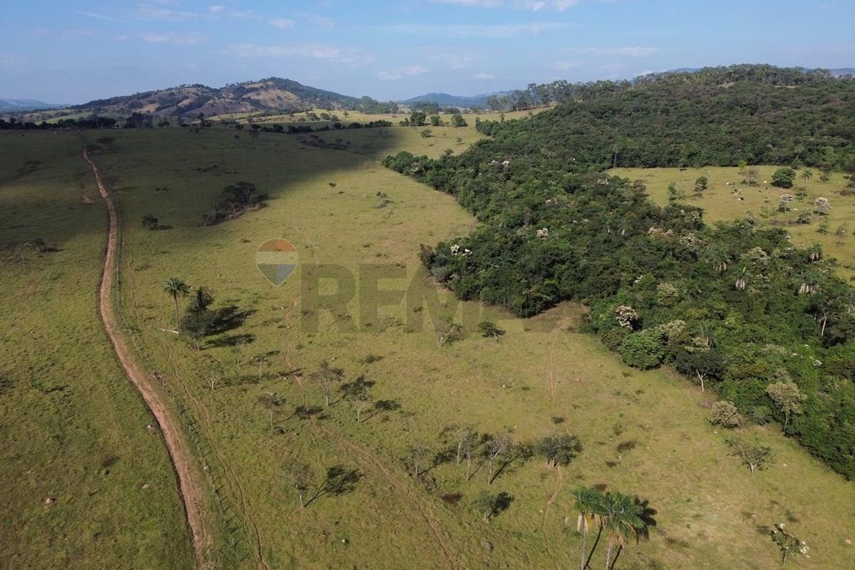 Fazenda, 199 hectares - Foto 21