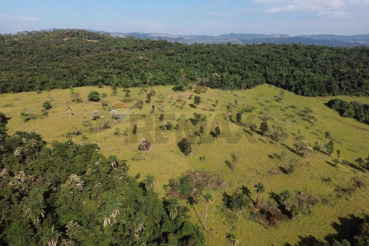Fazenda, 199 hectares - Foto 20