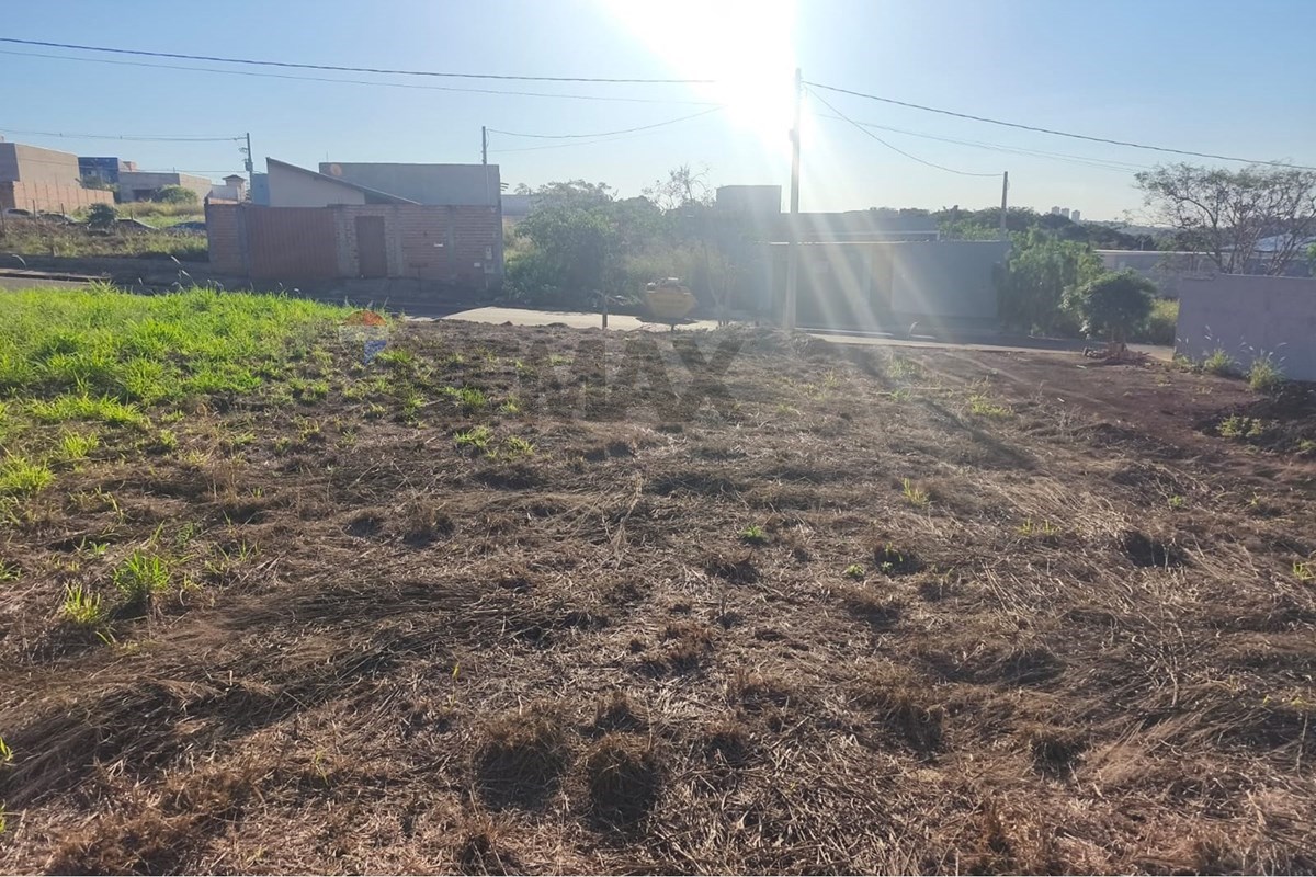 Foto 7 de 20