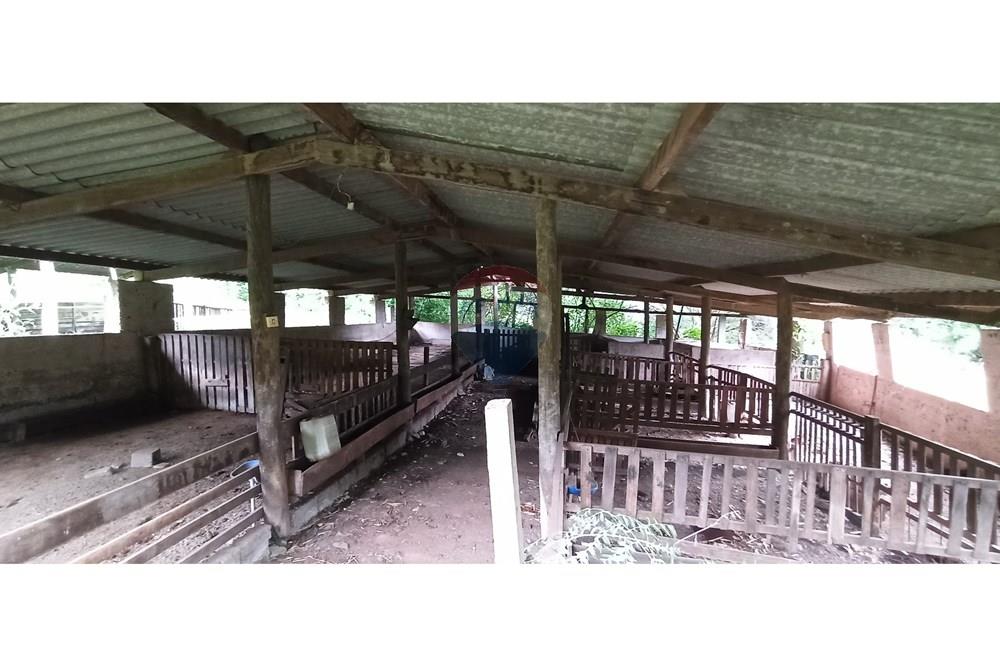 Fazenda, 60 hectares - Foto 39
