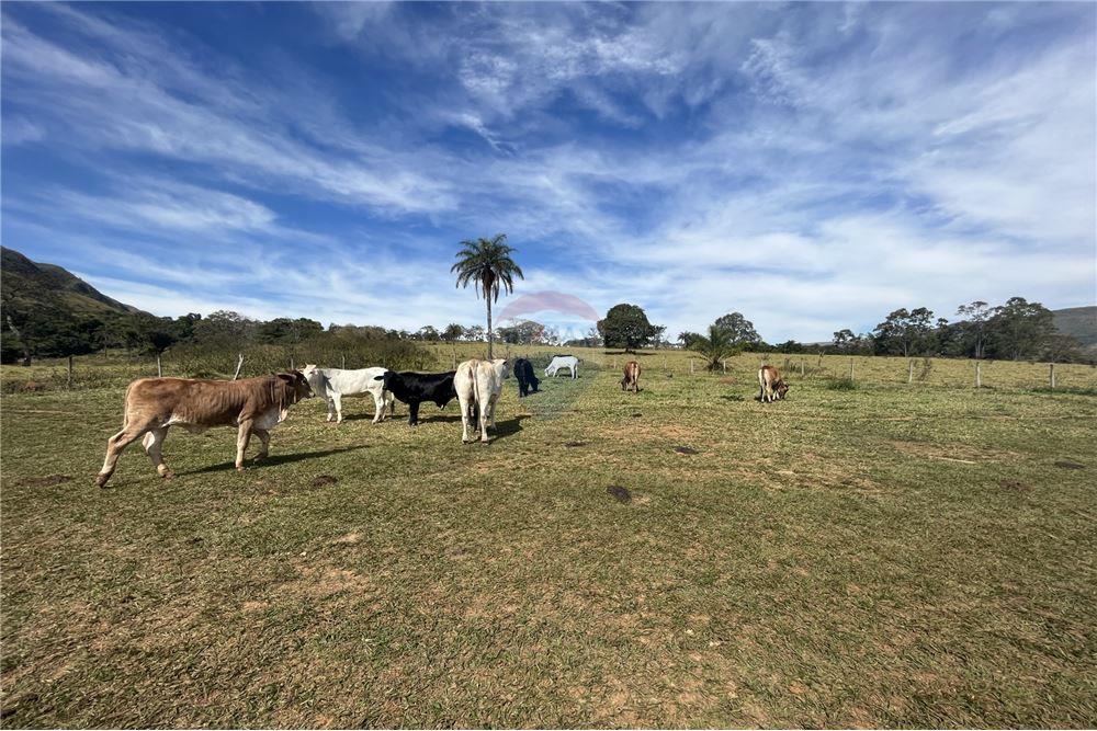 Fazenda, 63 hectares - Foto 26
