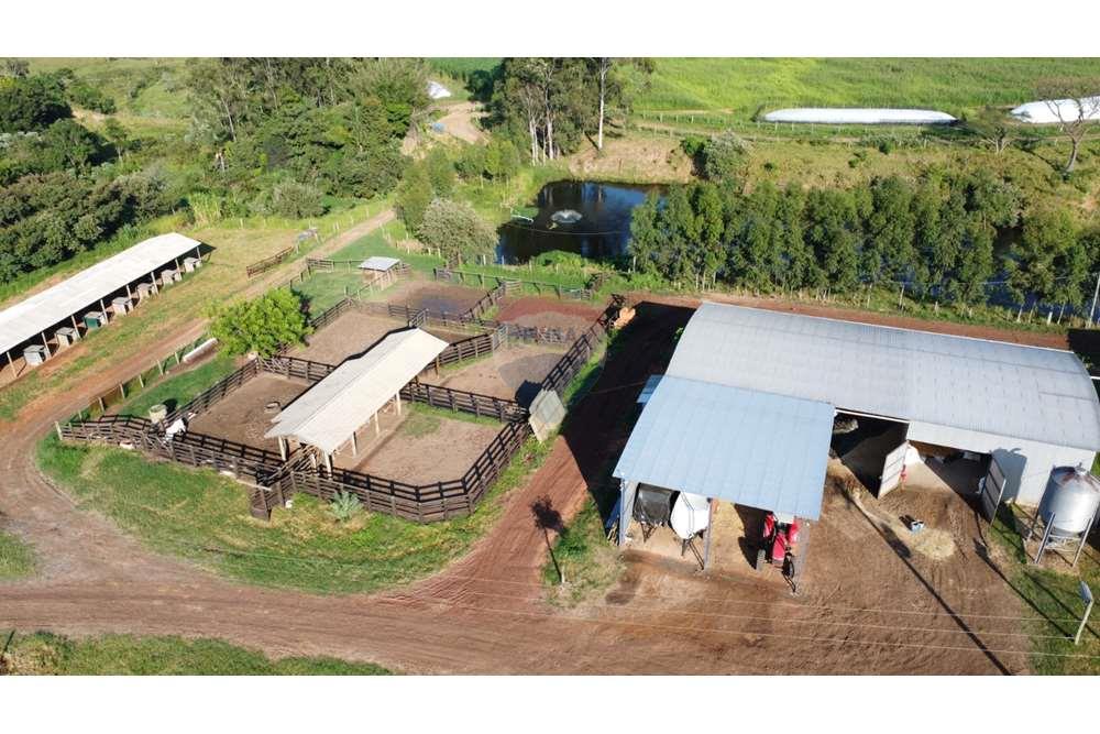 Fazenda, 217 hectares - Foto 2