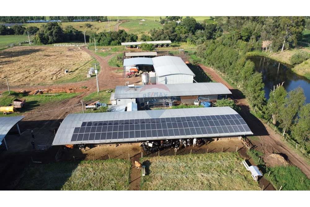 Fazenda, 217 hectares - Foto 4
