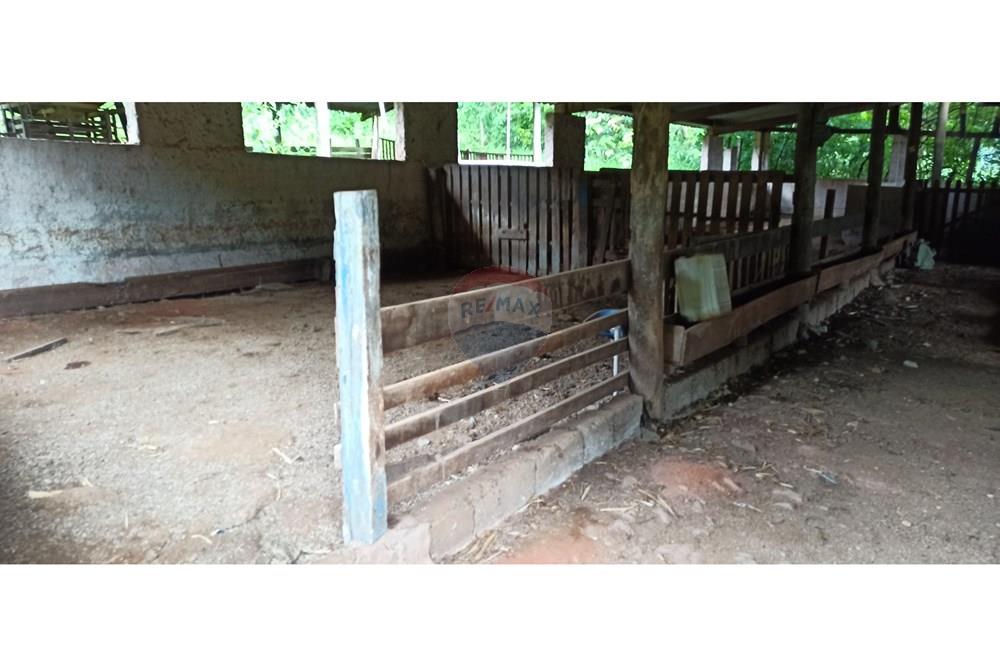 Fazenda, 60 hectares - Foto 38