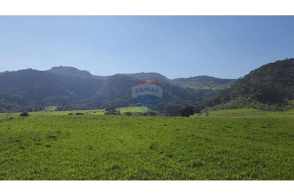 Fazenda, 217 hectares - Foto 49