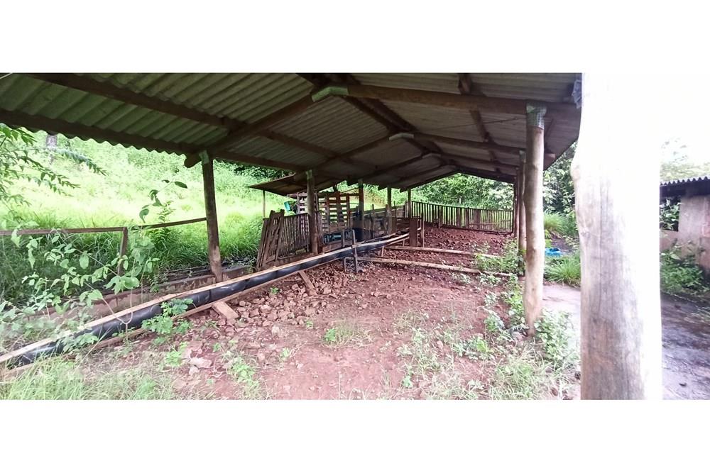 Fazenda, 60 hectares - Foto 40