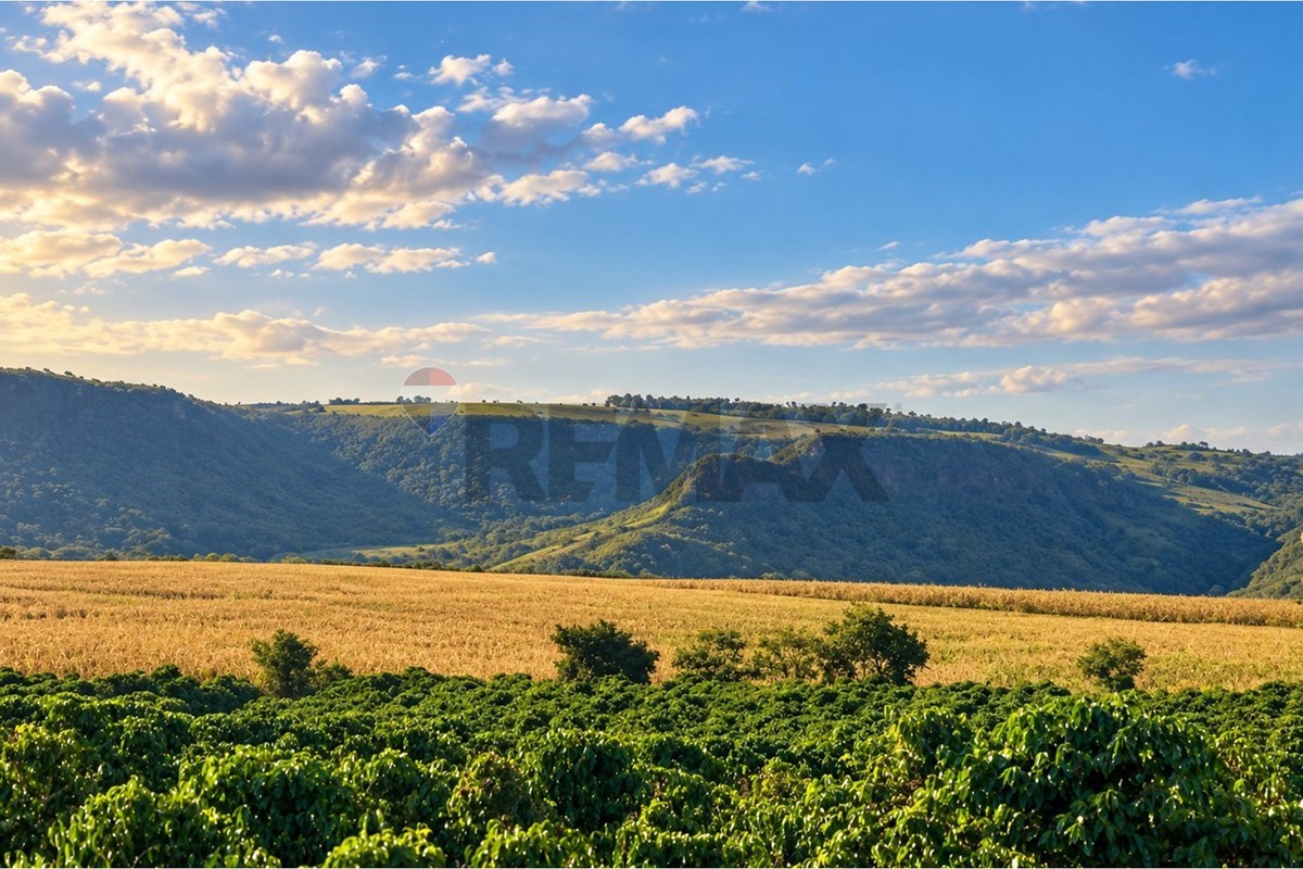 Fazenda, 67 hectares - Foto 9