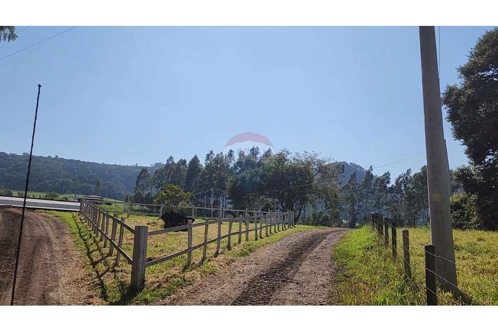 Fazenda, 217 hectares - Foto 41