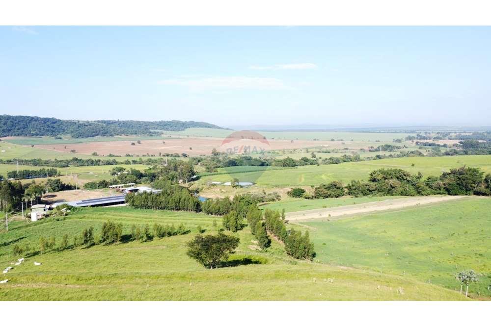 Fazenda, 217 hectares - Foto 3