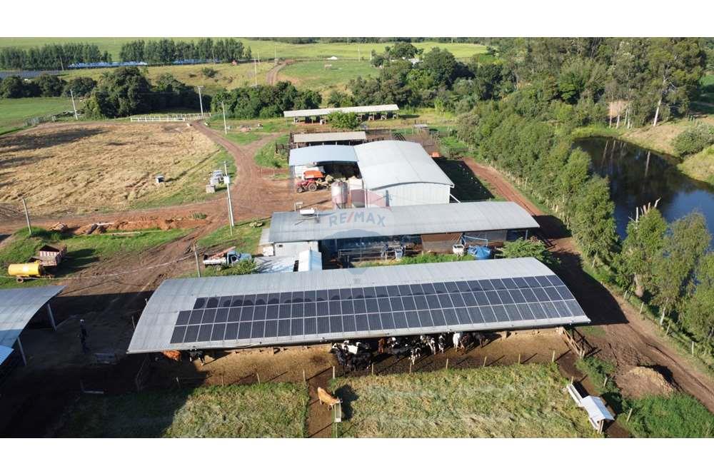 Fazenda, 217 hectares - Foto 17