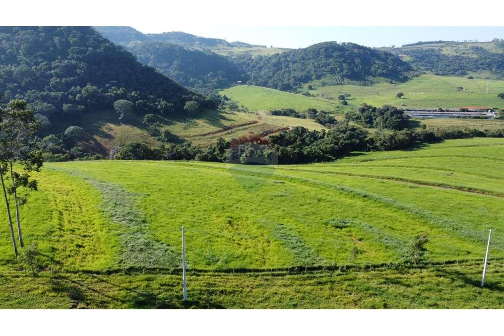Fazenda, 217 hectares - Foto 6