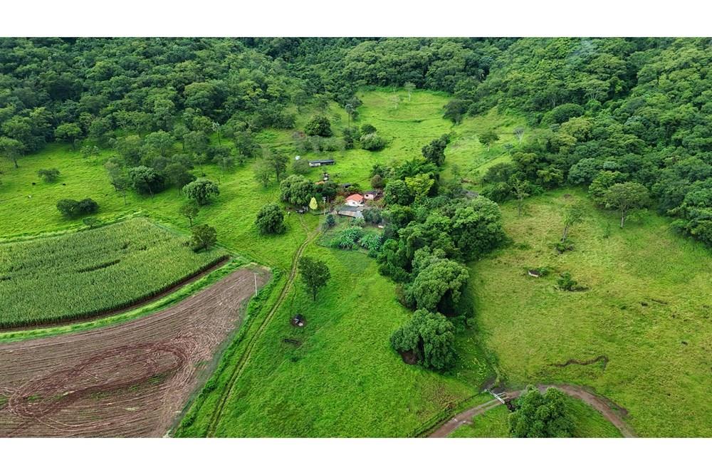 Fazenda, 60 hectares - Foto 11