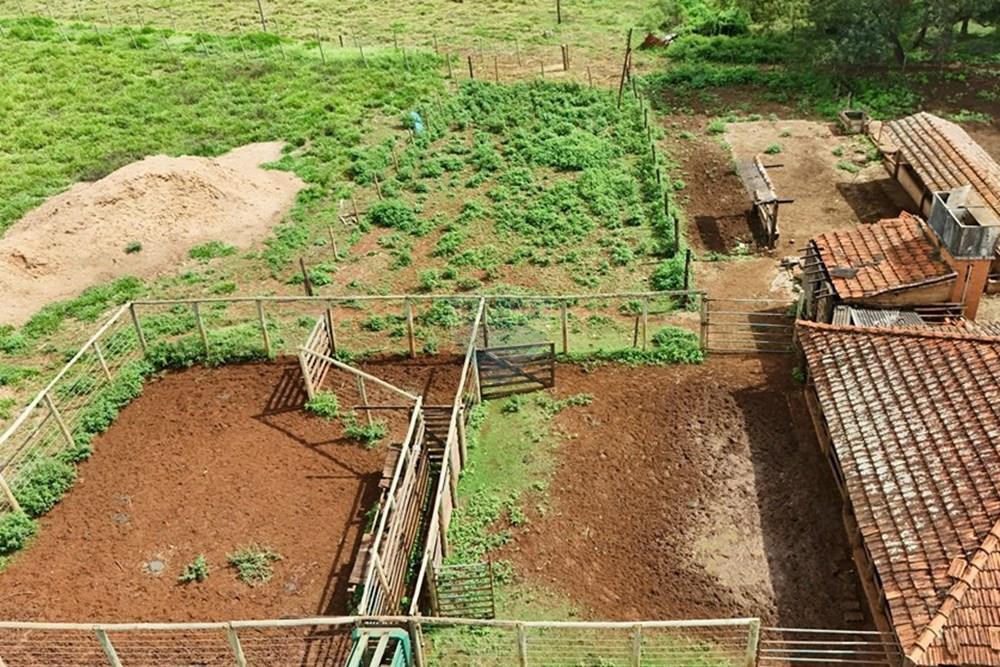 Fazenda, 27 hectares - Foto 16