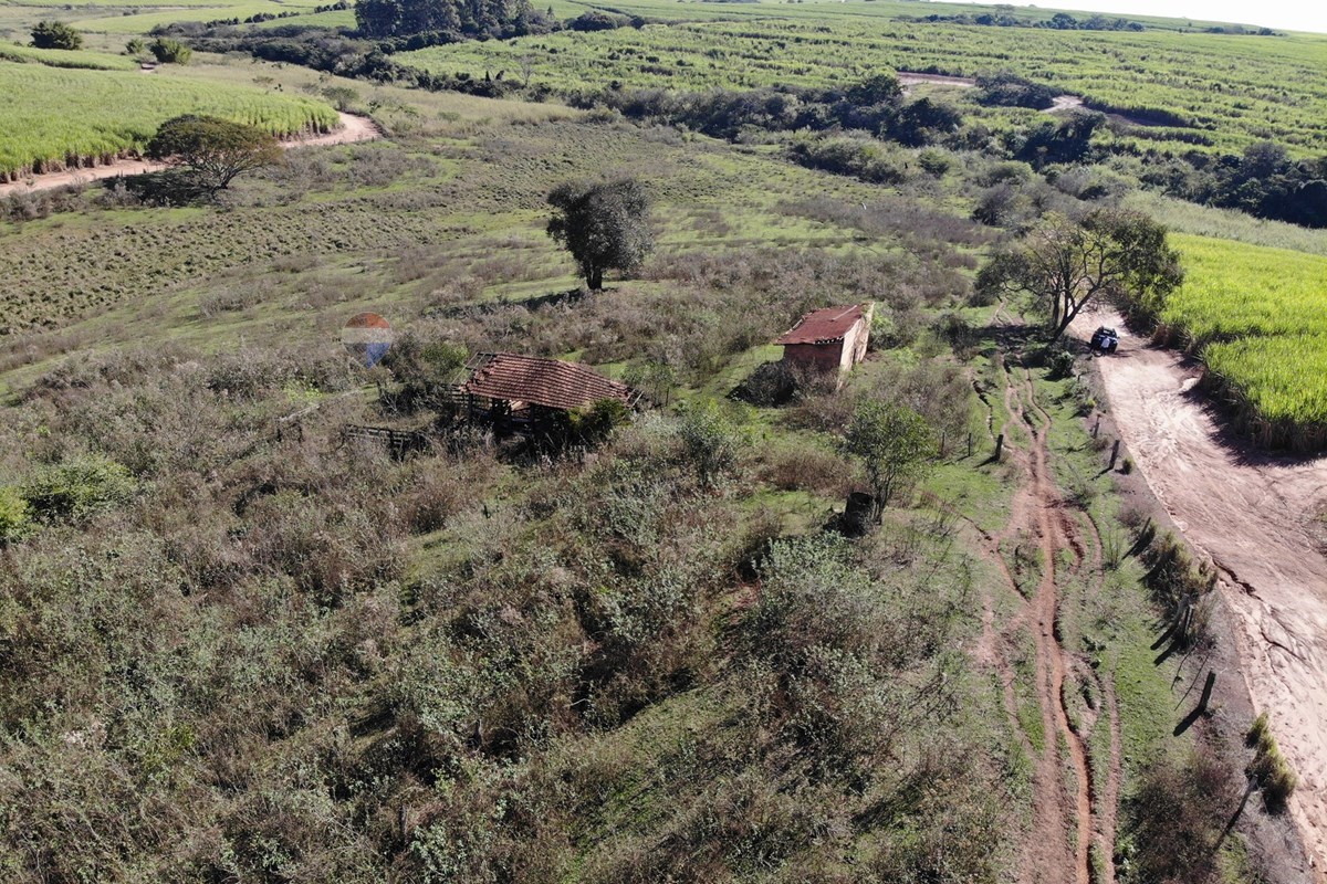 Terreno, 5 hectares - Foto 10