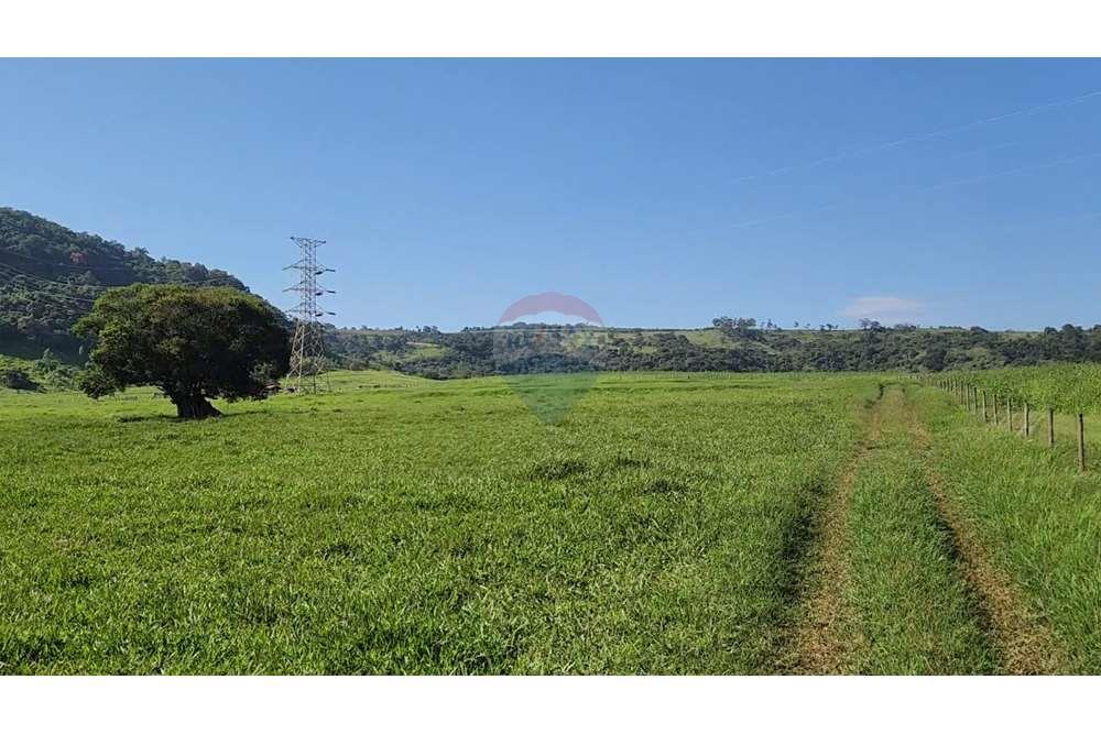 Fazenda, 217 hectares - Foto 48