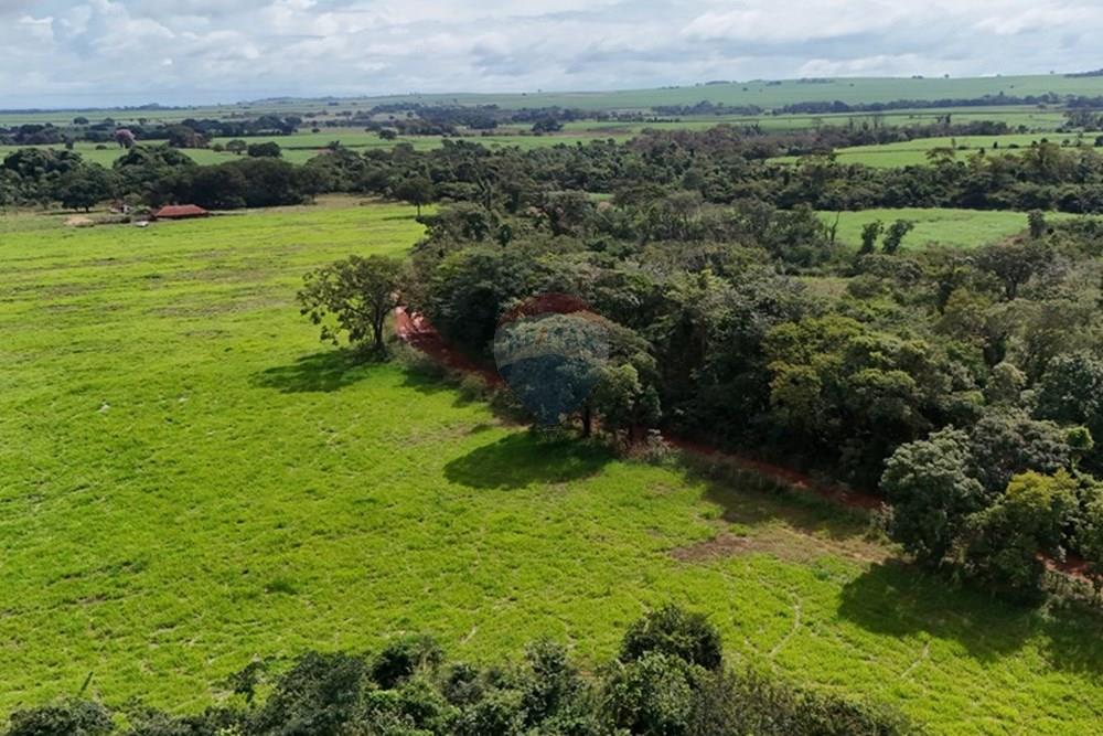 Fazenda, 27 hectares - Foto 9