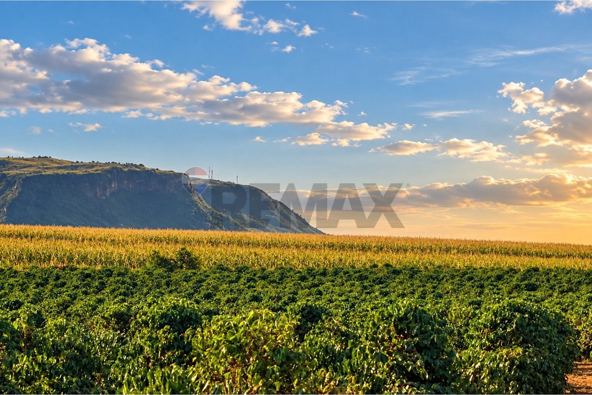 Fazenda, 67 hectares - Foto 4