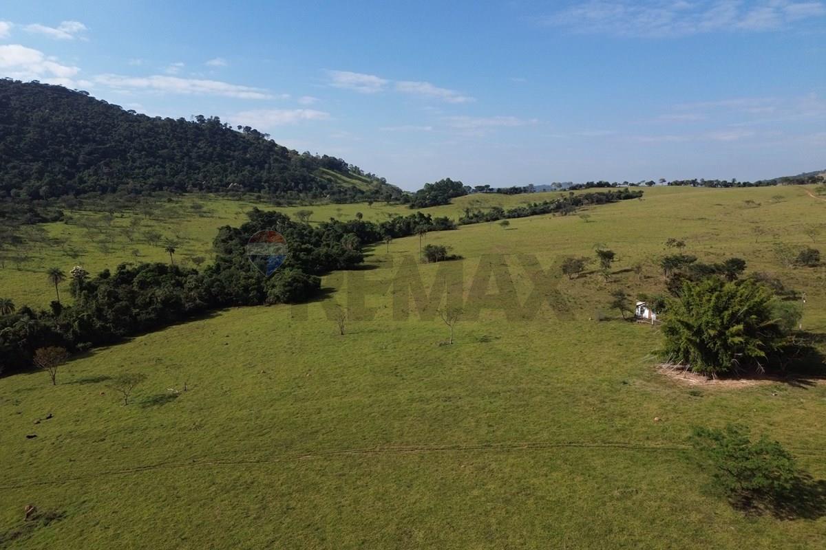 Fazenda, 199 hectares - Foto 10