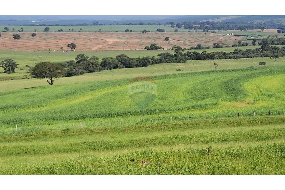 Fazenda, 217 hectares - Foto 44