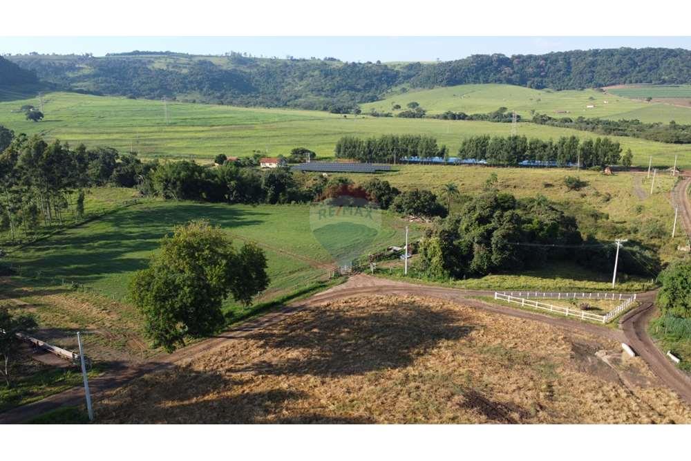 Fazenda, 217 hectares - Foto 24