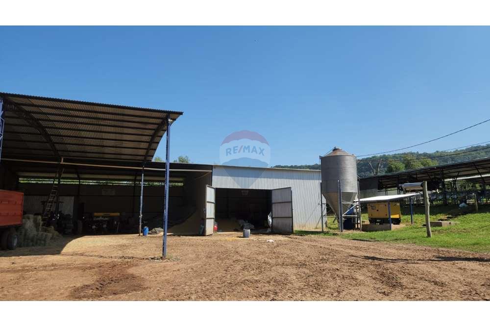 Fazenda, 217 hectares - Foto 26