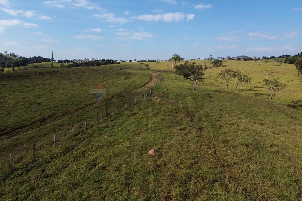 Fazenda, 199 hectares - Foto 4