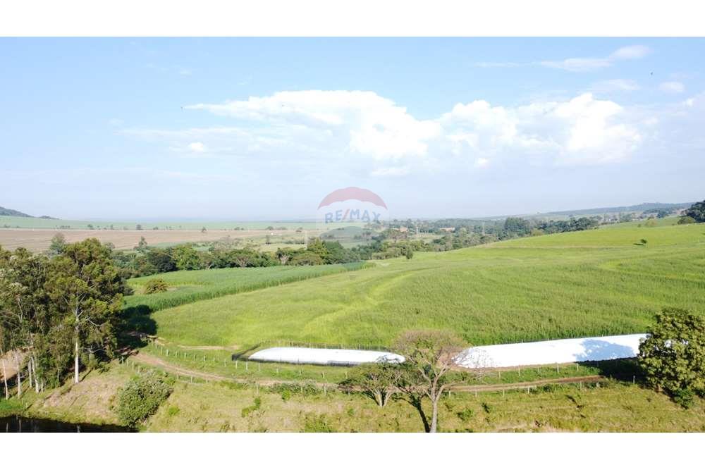 Fazenda, 217 hectares - Foto 15