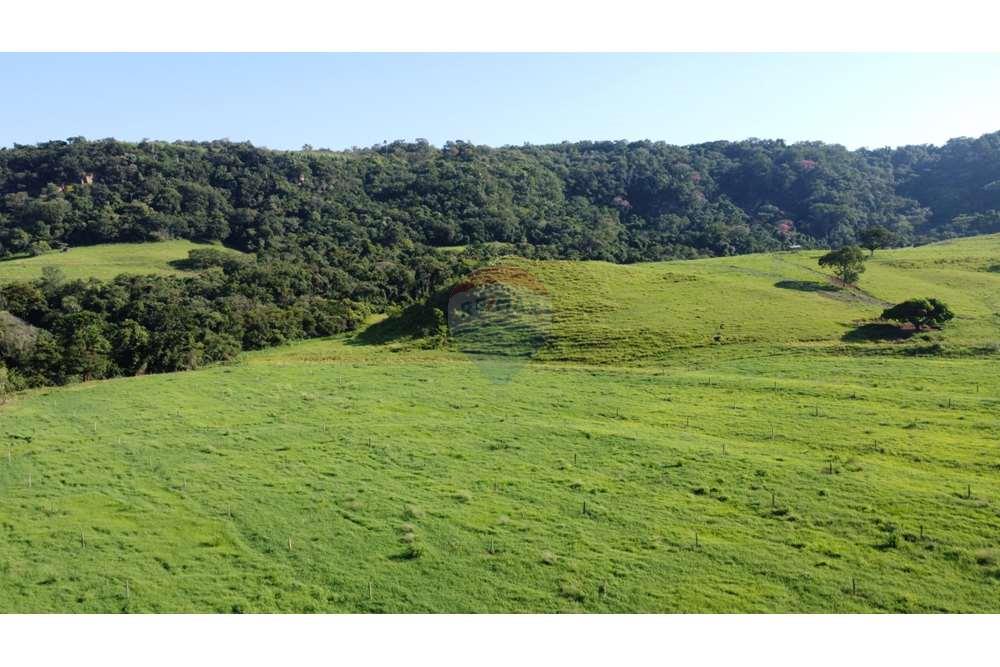 Fazenda, 217 hectares - Foto 8