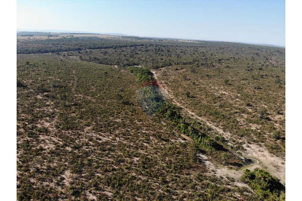 Fazenda, 1657 hectares - Foto 7