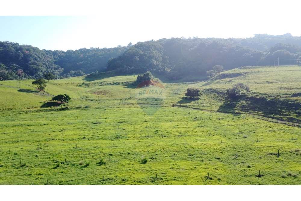 Fazenda, 217 hectares - Foto 9