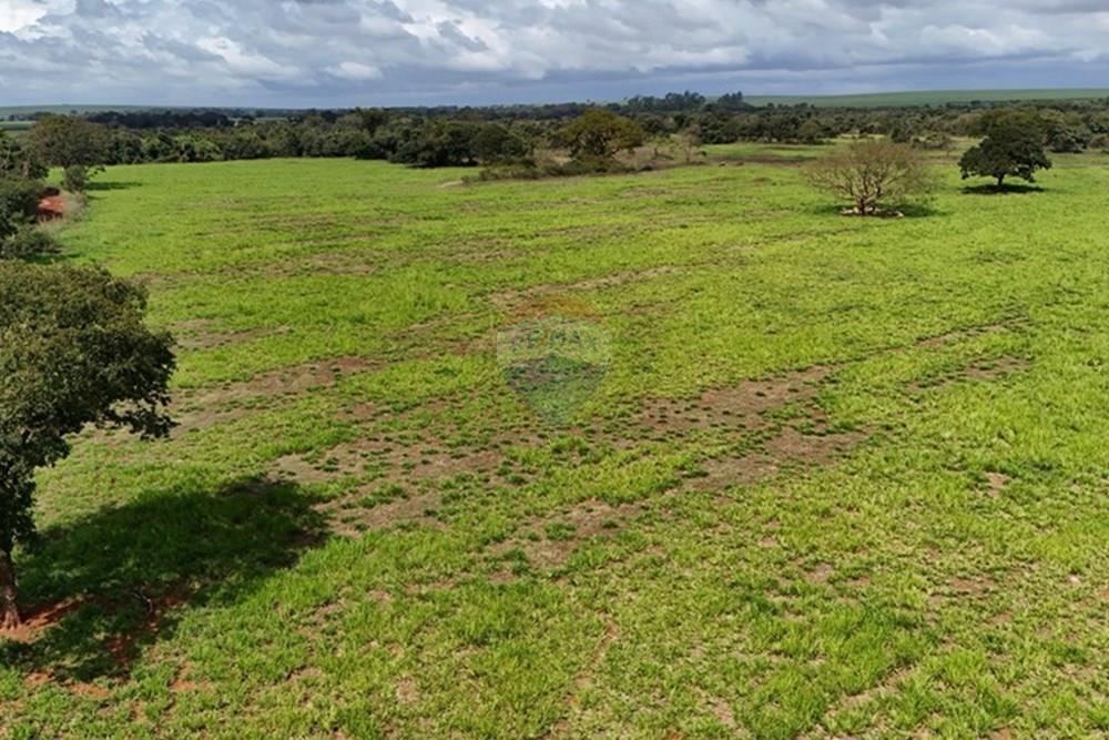 Fazenda, 27 hectares - Foto 4