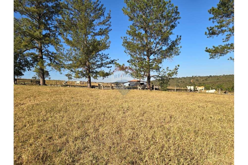 Fazenda, 1657 hectares - Foto 25