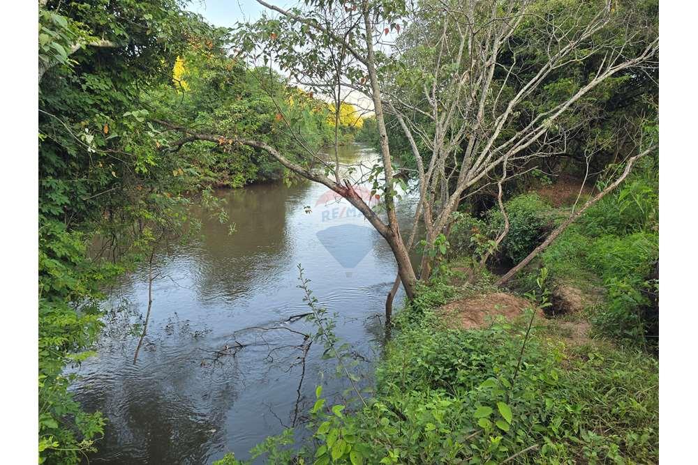 Fazenda, 12 hectares - Foto 41