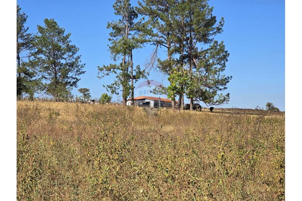 Fazenda, 1657 hectares - Foto 21