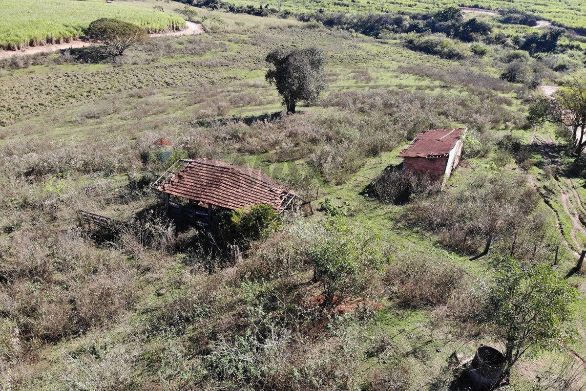 Terreno, 5 hectares - Foto 1