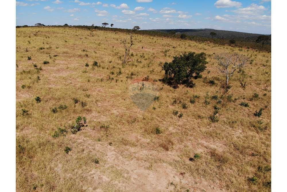 Fazenda, 1657 hectares - Foto 11