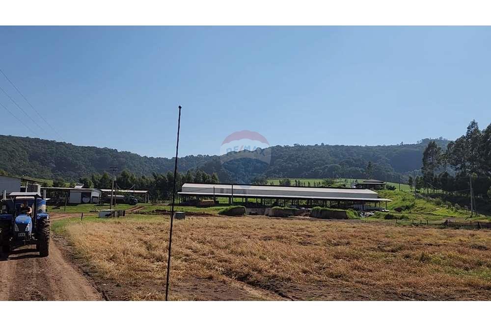 Fazenda, 217 hectares - Foto 40