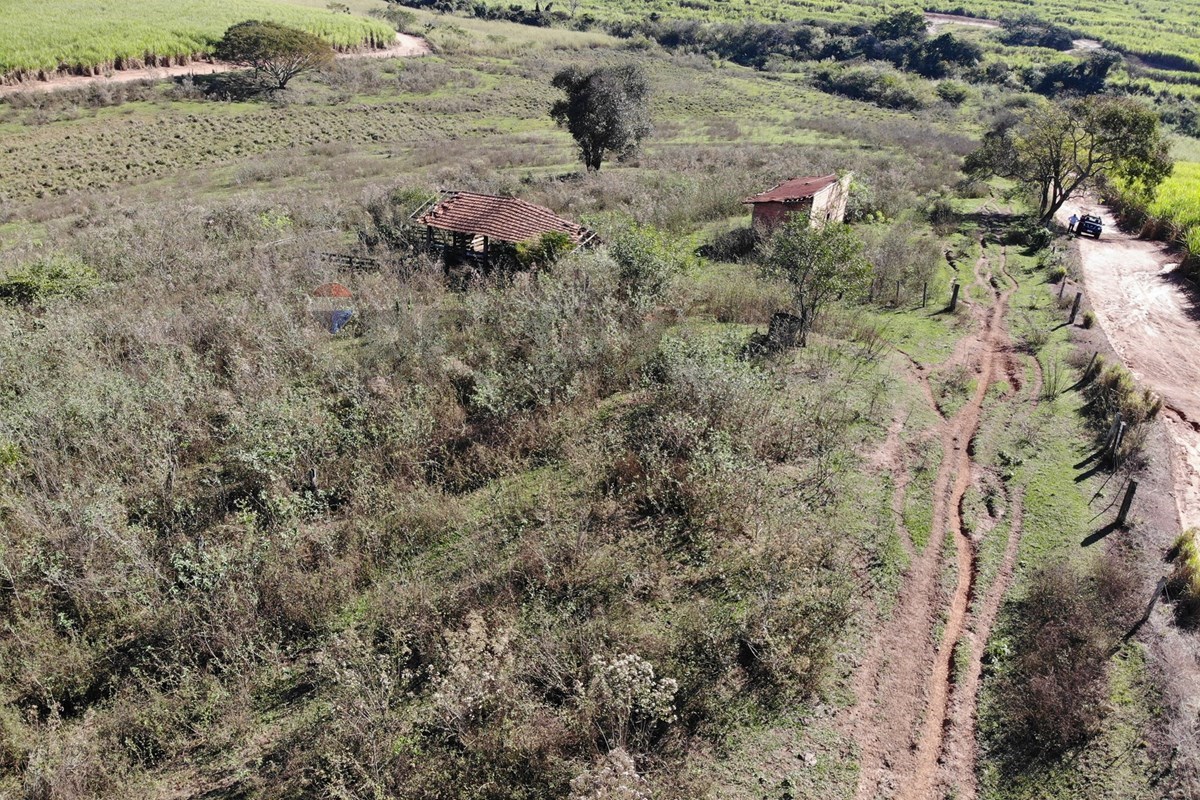 Terreno, 5 hectares - Foto 13