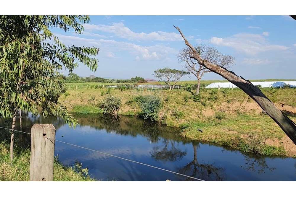 Fazenda, 217 hectares - Foto 73