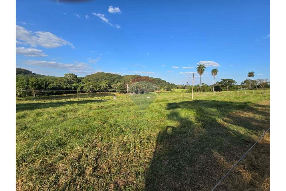Fazenda, 12 hectares - Foto 14