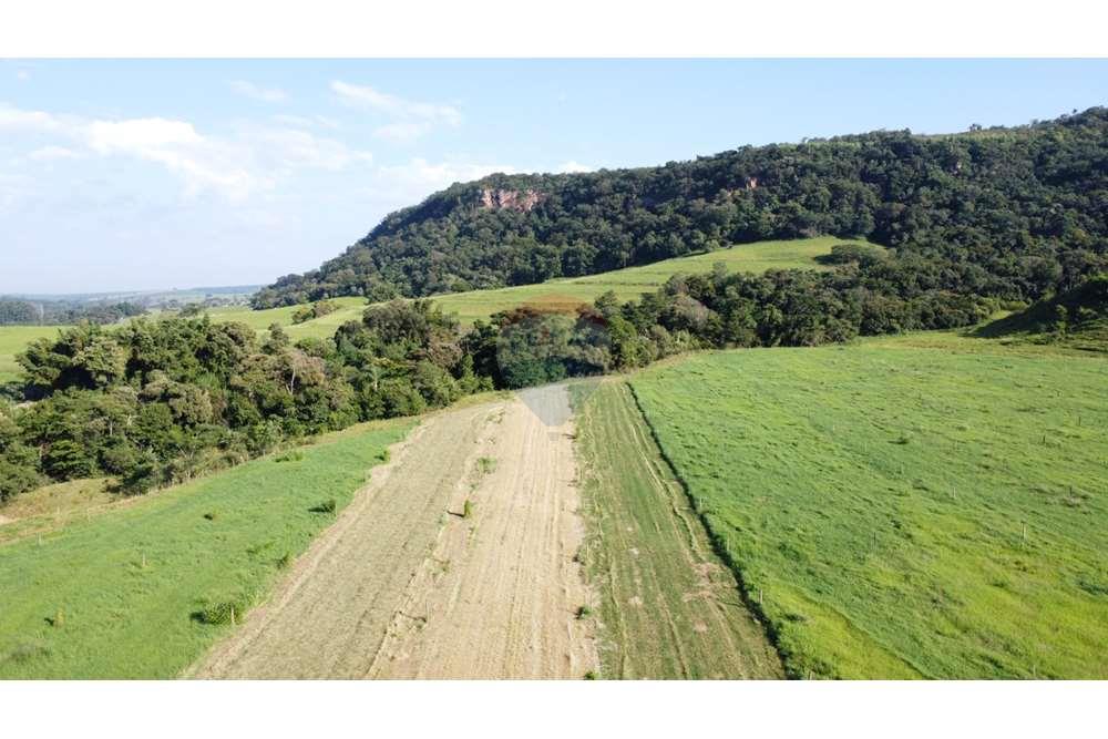 Fazenda, 217 hectares - Foto 7
