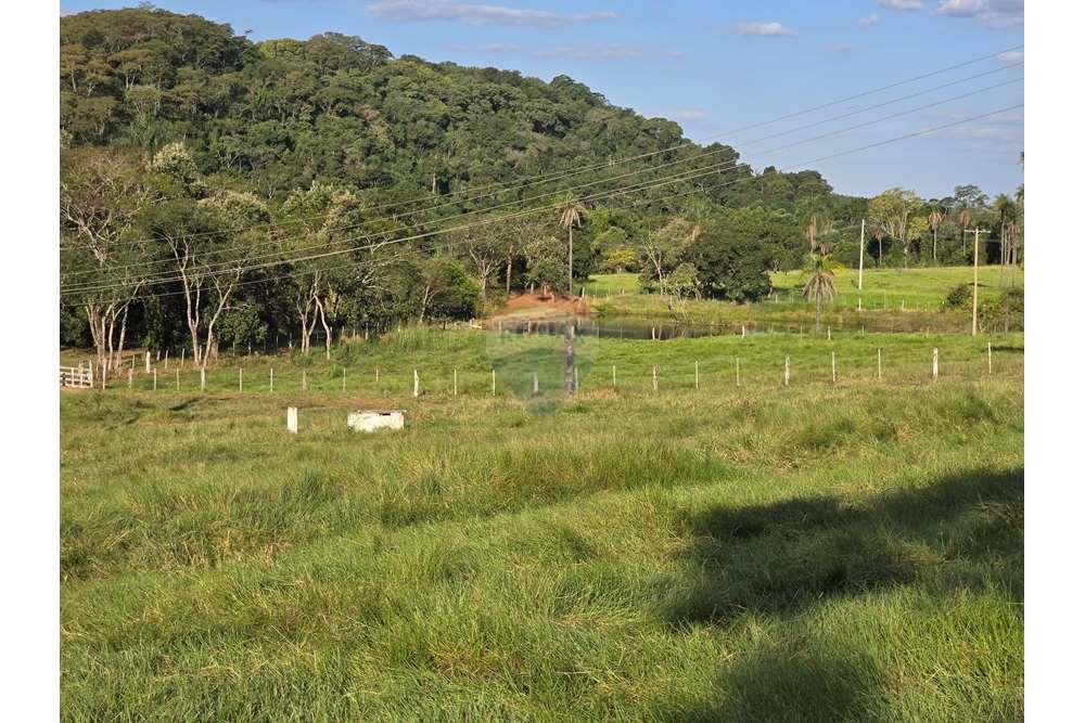 Fazenda, 12 hectares - Foto 15