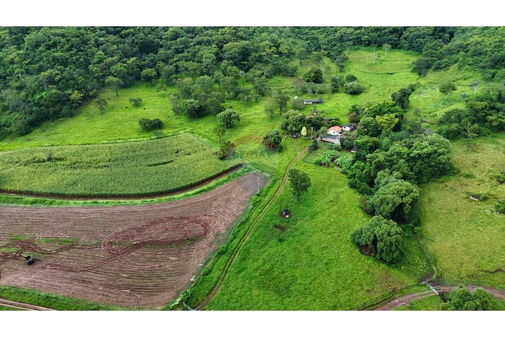 Fazenda, 60 hectares - Foto 1