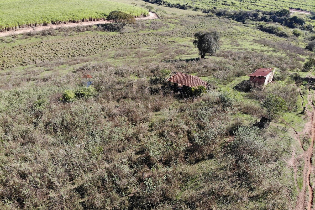 Terreno, 5 hectares - Foto 9