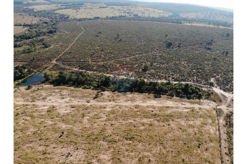 Fazenda, 1657 hectares - Foto 6