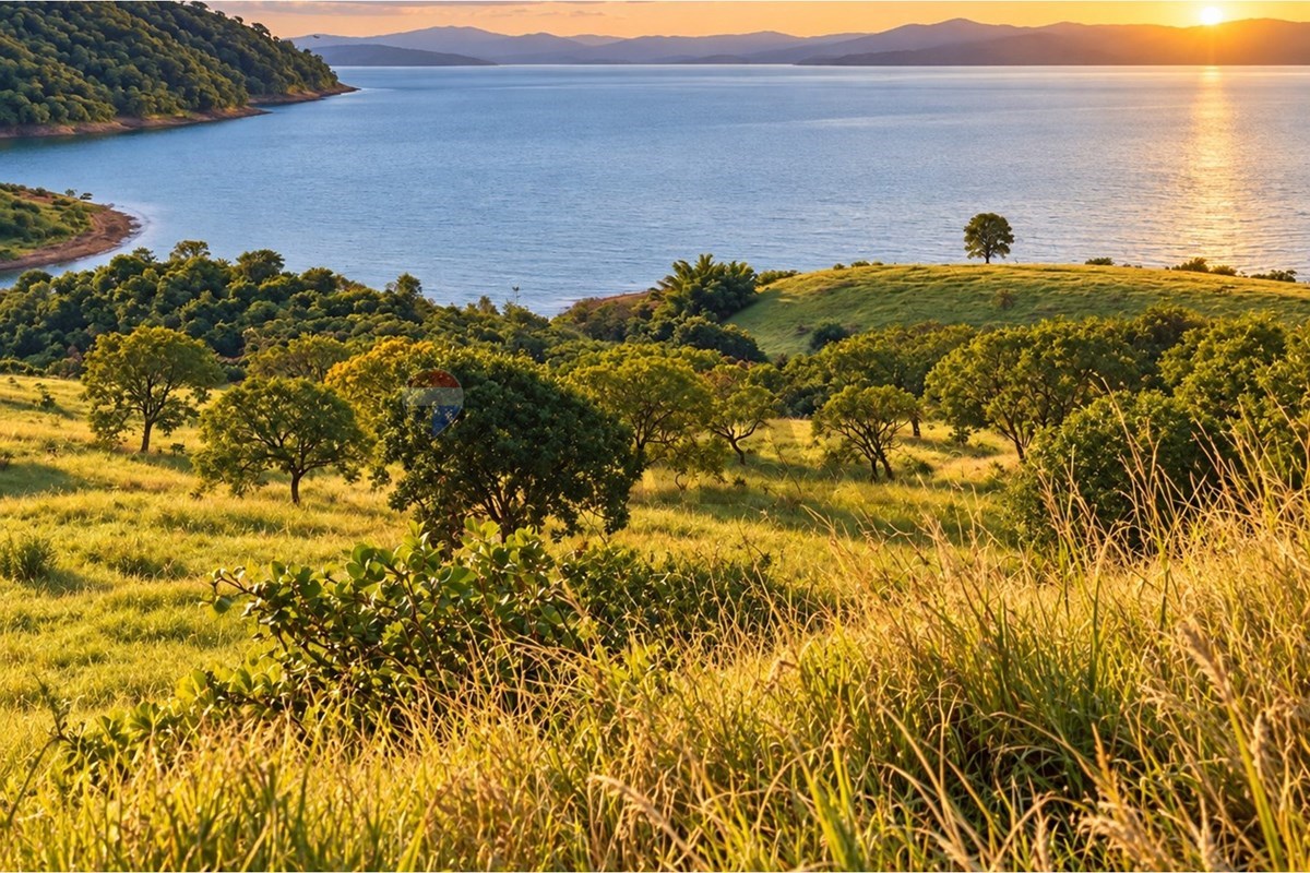 Fazenda, 67 hectares - Foto 8