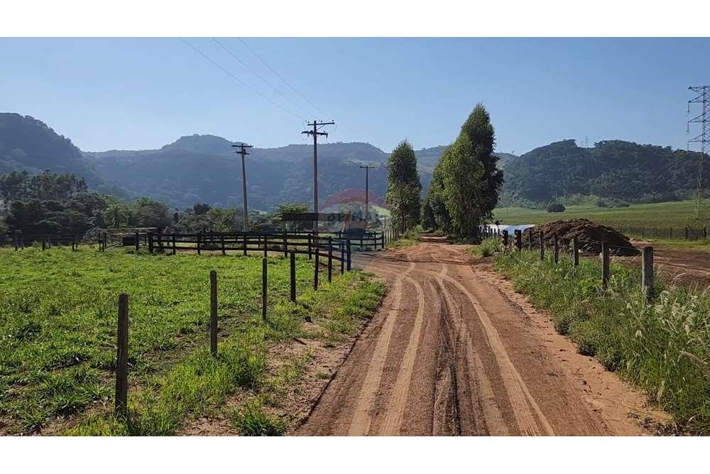 Fazenda, 217 hectares - Foto 63