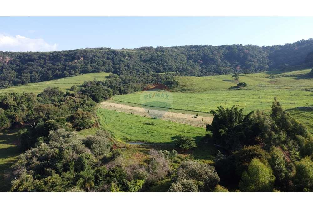 Fazenda, 217 hectares - Foto 19