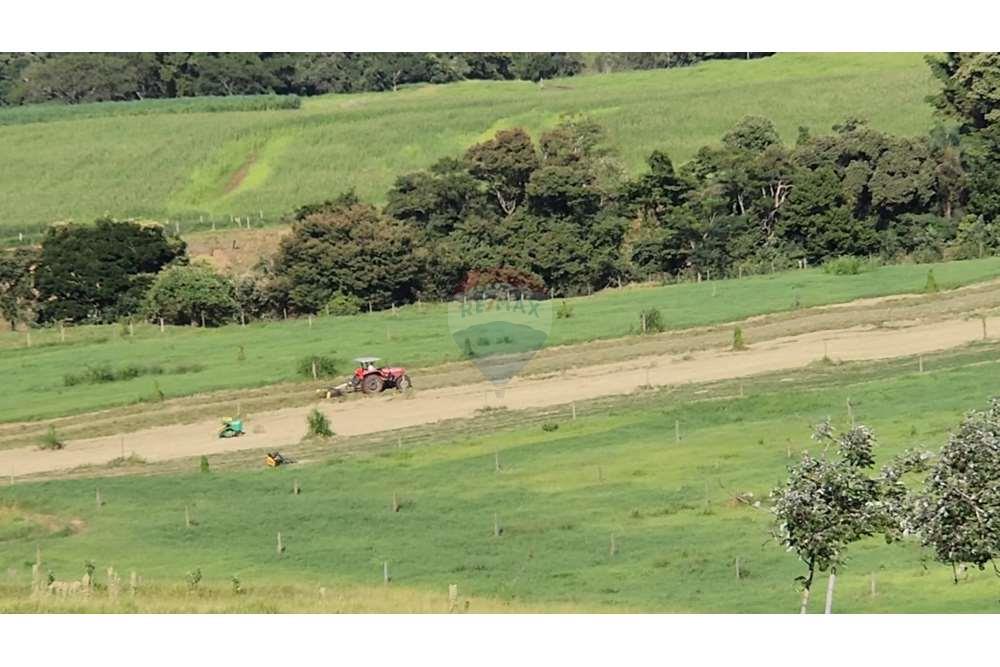 Fazenda, 217 hectares - Foto 69